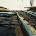 Business Image
